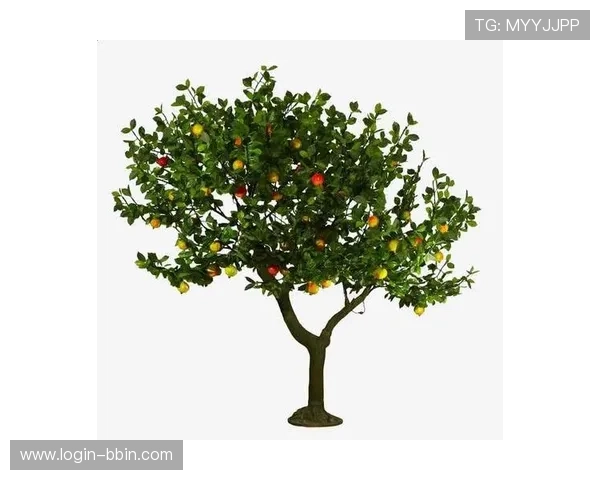 宝盈官网登录网址官方平台导航，安全稳定登录保障您的资金安全