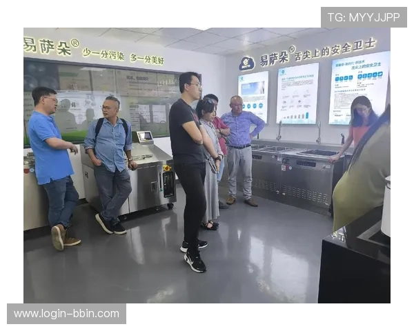 宝盈集团简介：宝盈集团的核心业务与未来发展战略分析